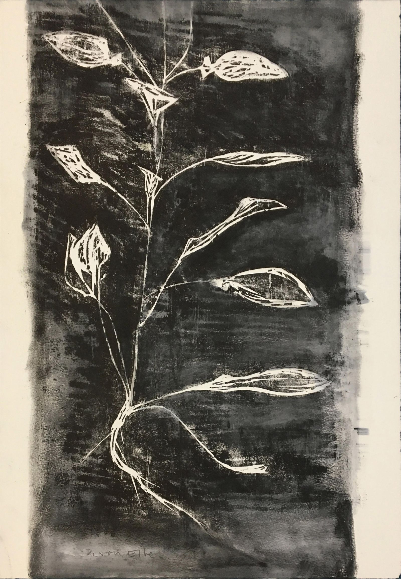 Xilofrafía de Dorothea von Elbe.