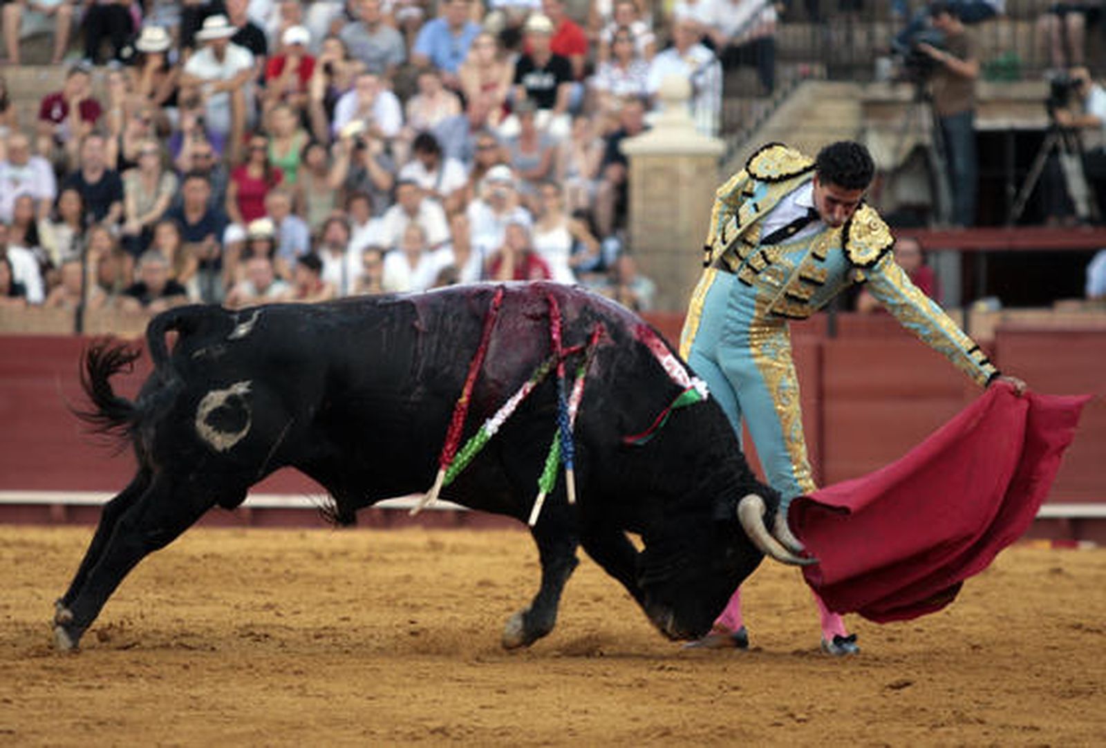 El sevillano cosechó muchas palmas al recibir la verónica al primer novillo.

Foto: Juan Carlos Muñoz