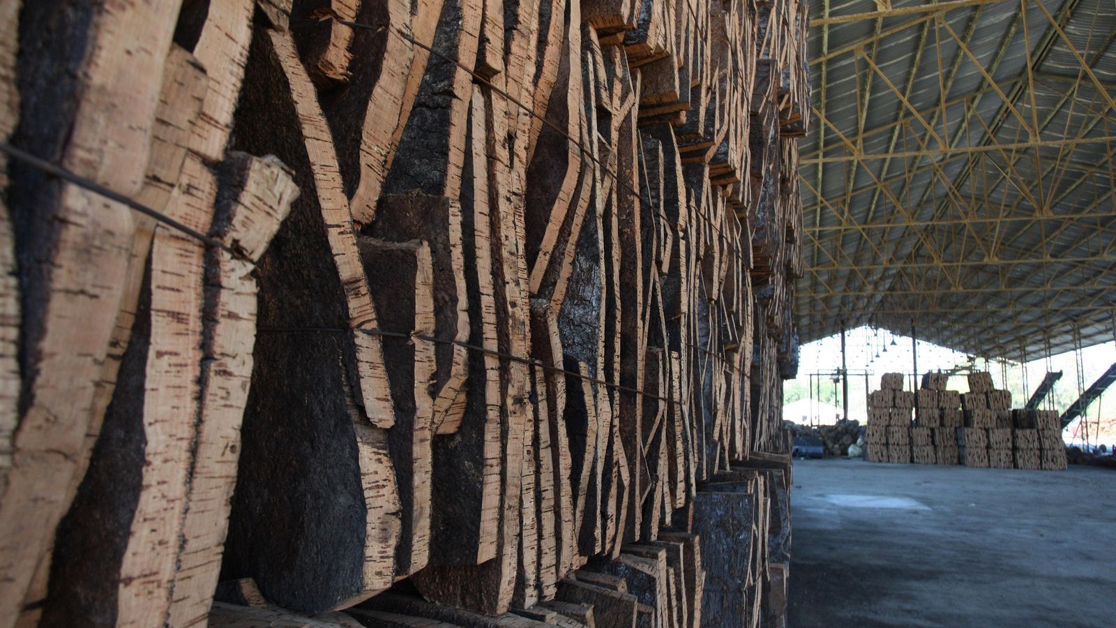 La Almoraima, Castellar