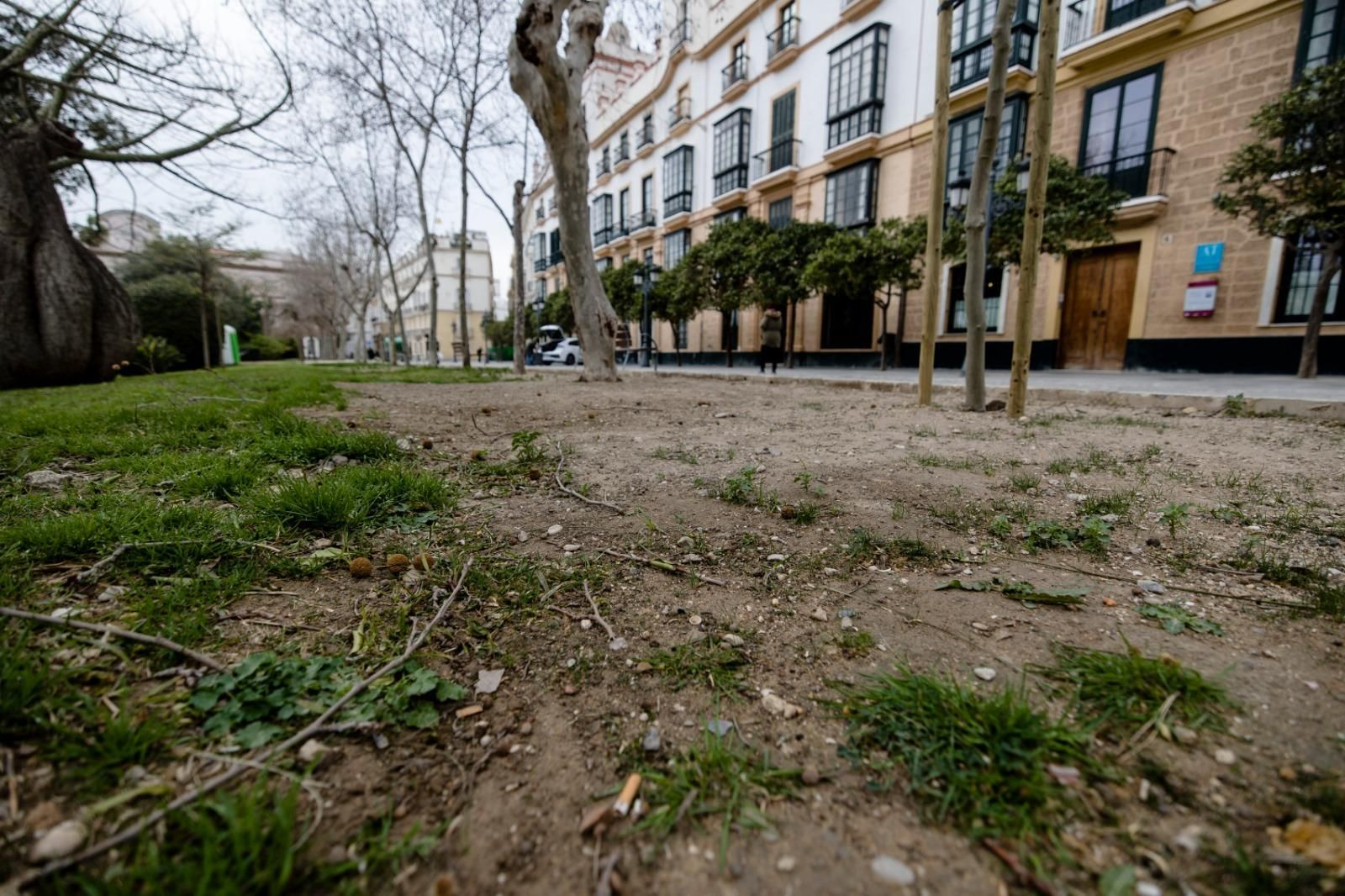 Uno de los jardines casi secos.