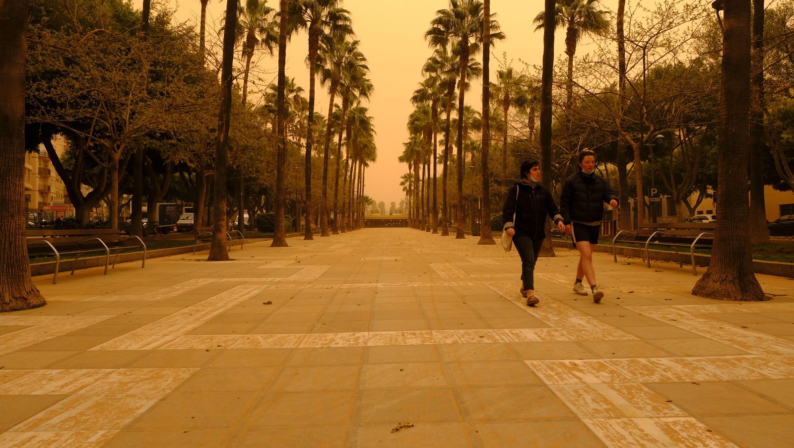 Fotogalería de la tormenta de arena y polvo en Almería