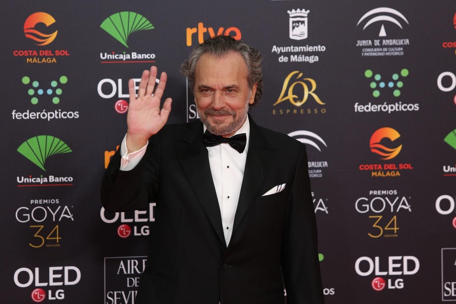 La alfombra roja de los Goya 2020 en Málaga