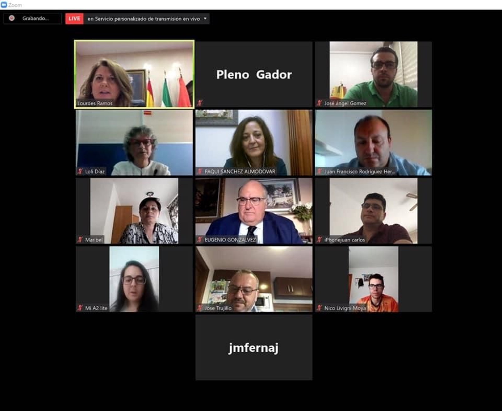Pleno telemático celebrado en Gádor.