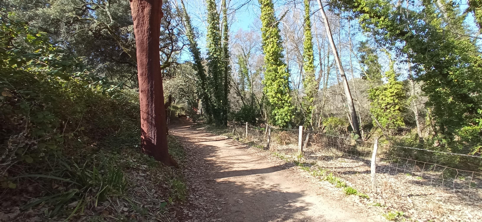 Las imágenes de la ruta de la cascada de Jollarancos y bosque de las letras