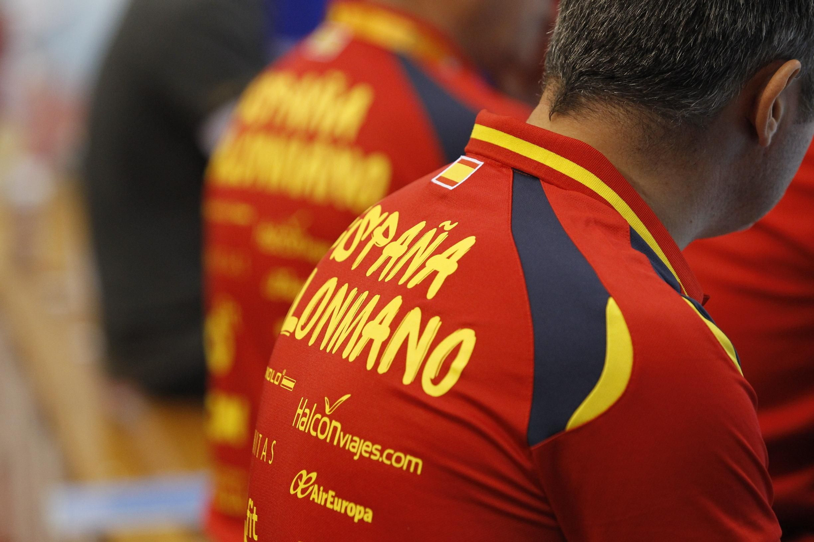 Fotogalería España-Suecia. Balonmano. Palacio Juegos Mediterráneos. Almería