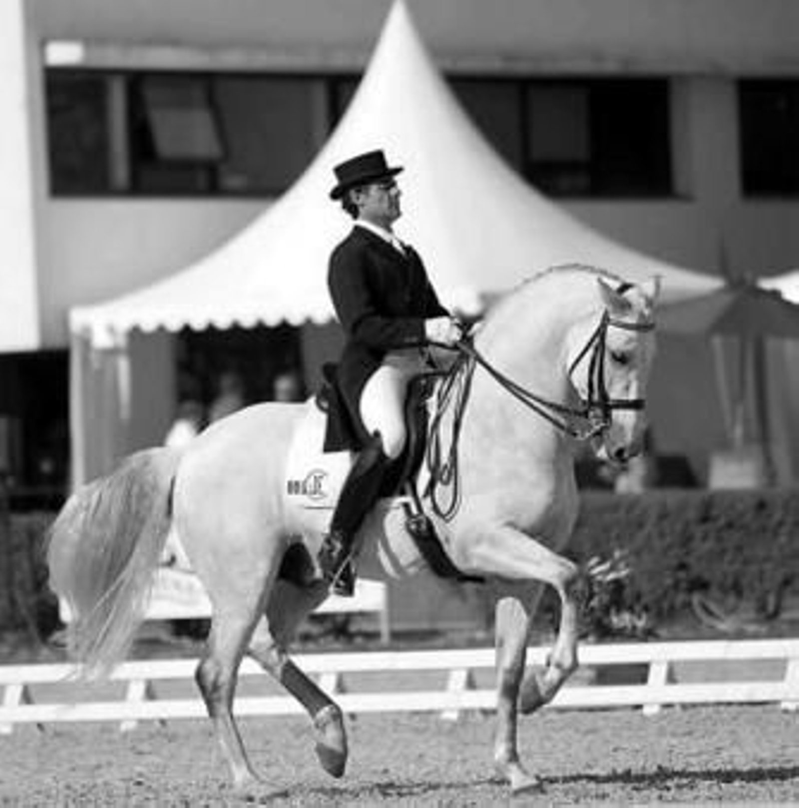 Juan Manuel Muñoz, a lomos de 'Fuego XII'.