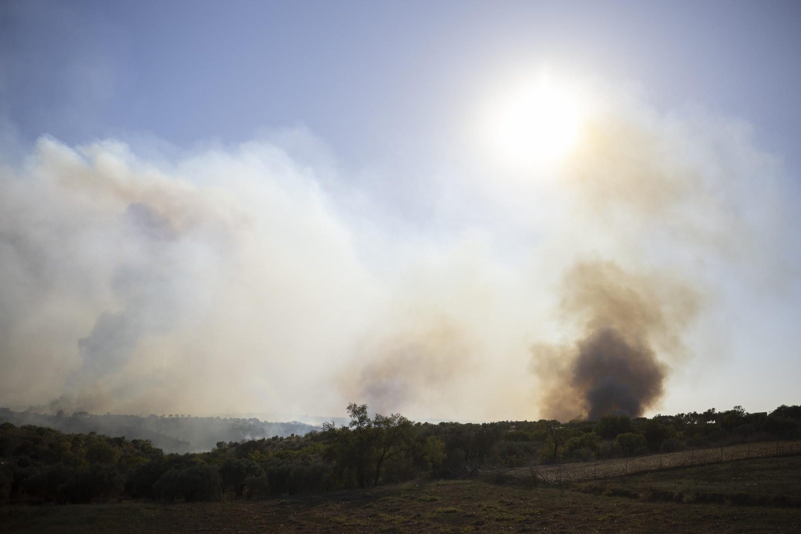 Imágenes del incendio de Bonares