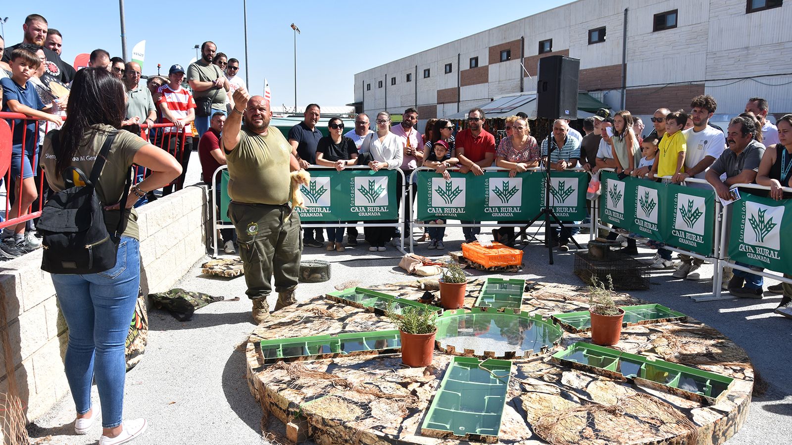 Feria Agroganadera de Baza