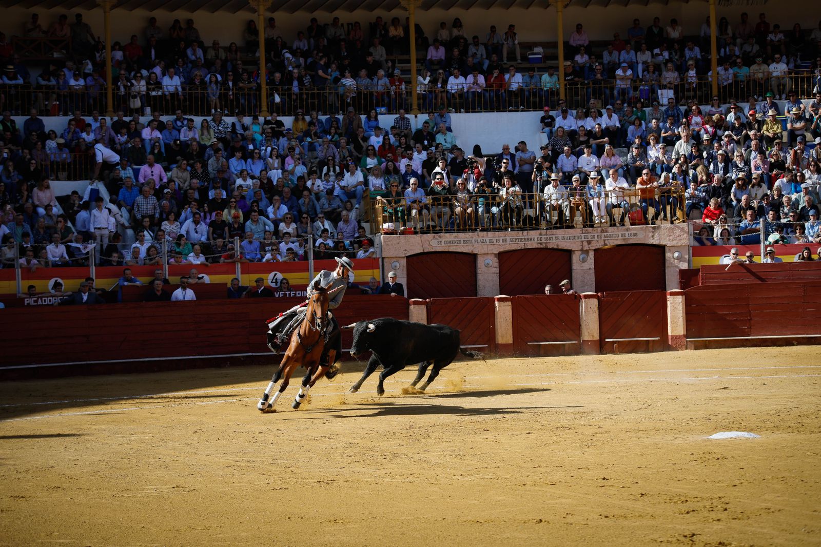 Imágenes del festival mixto lucha contra el cáncer