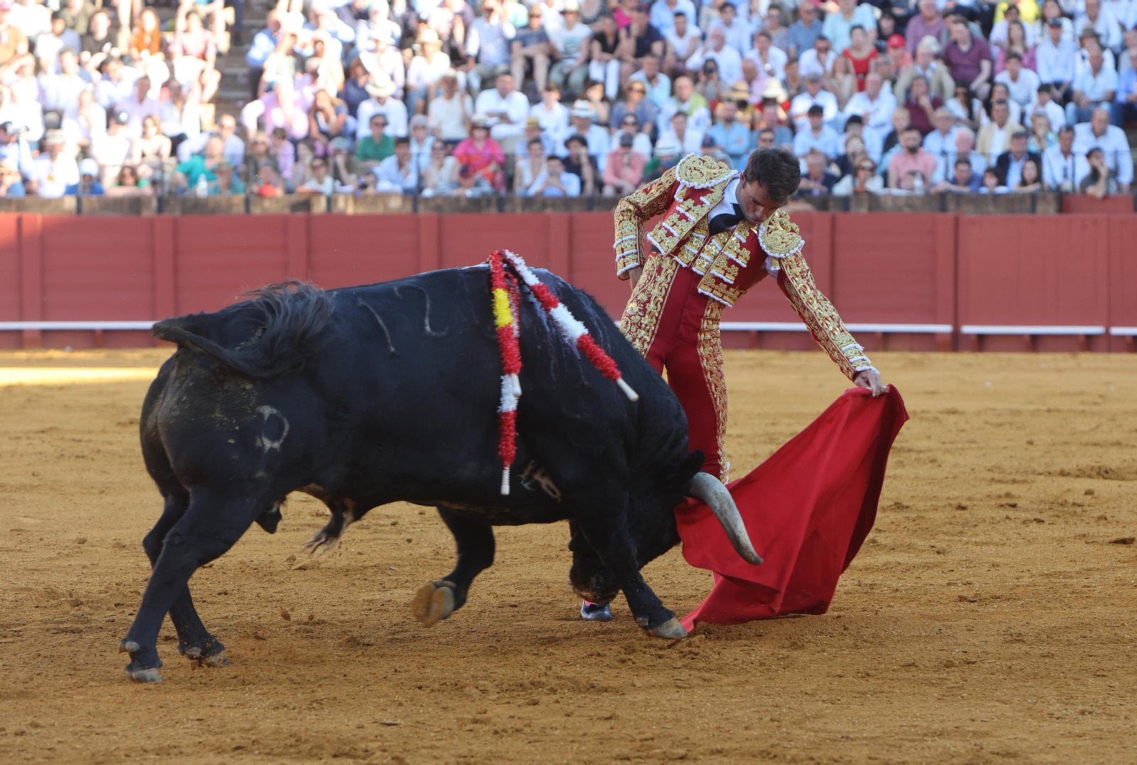 Las mejores imágenes de la corrida de hoy
