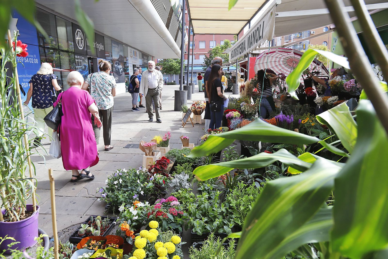 Imágenes del jueves 6 de julio, en Huelva