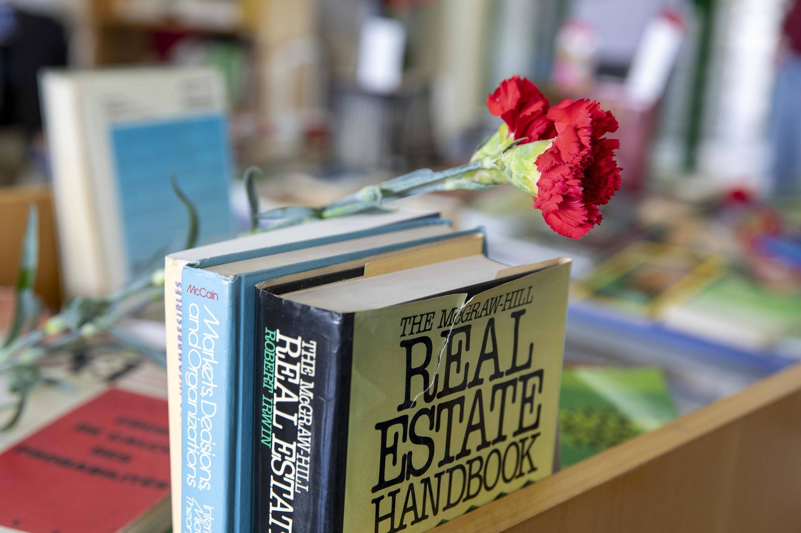 Las mejores imágenes de la Fiesta del Libro en el Campus de Rabanales