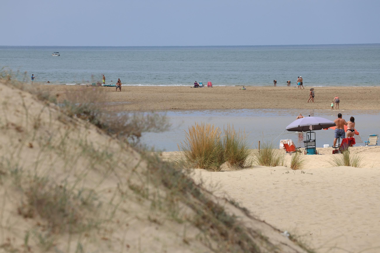Imágenes de la diversa vegetación de las Dunas del Portil