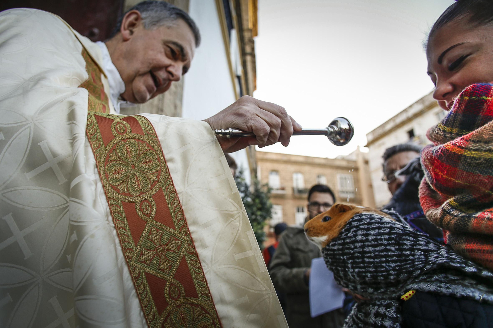 Bendición de animales en Santo Domingo