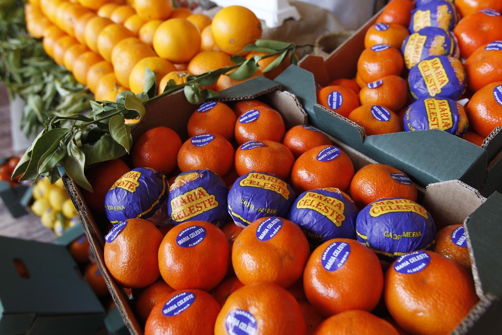 Fotogalería Día de la Naranja en Gádor