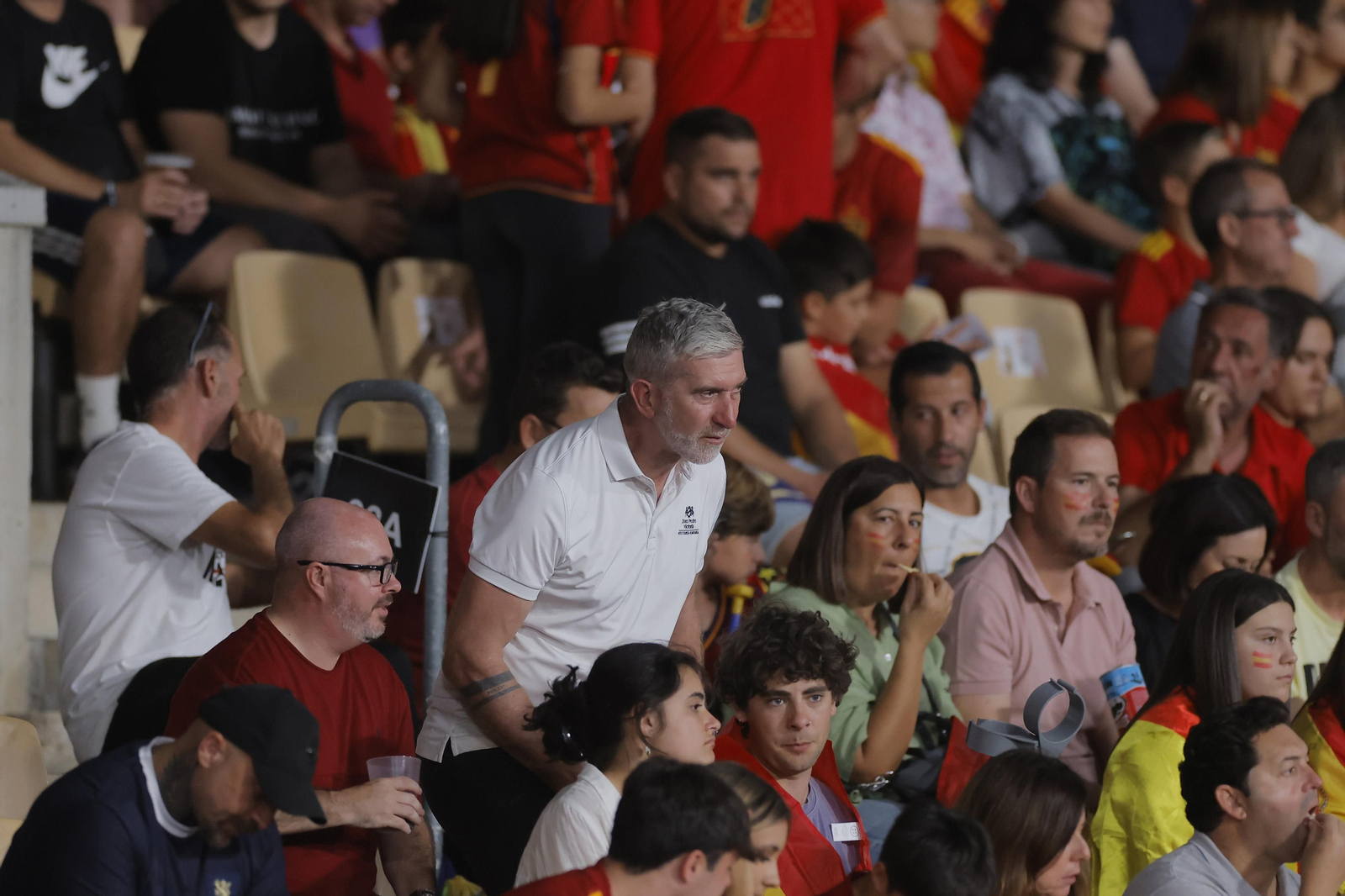 Búscate en las fotos del España-Escocia