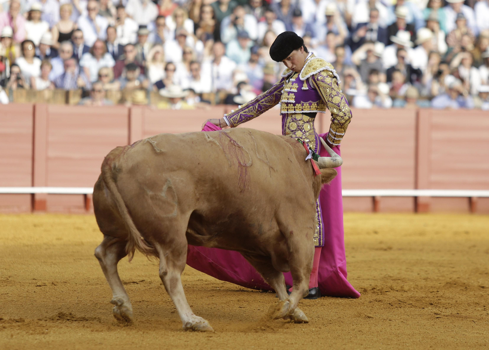 Las imágenes de la primera de abono de La Maestranza