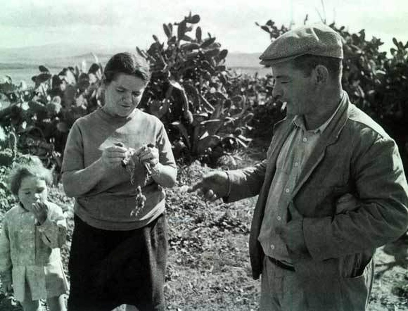 El cronista de los jornaleros