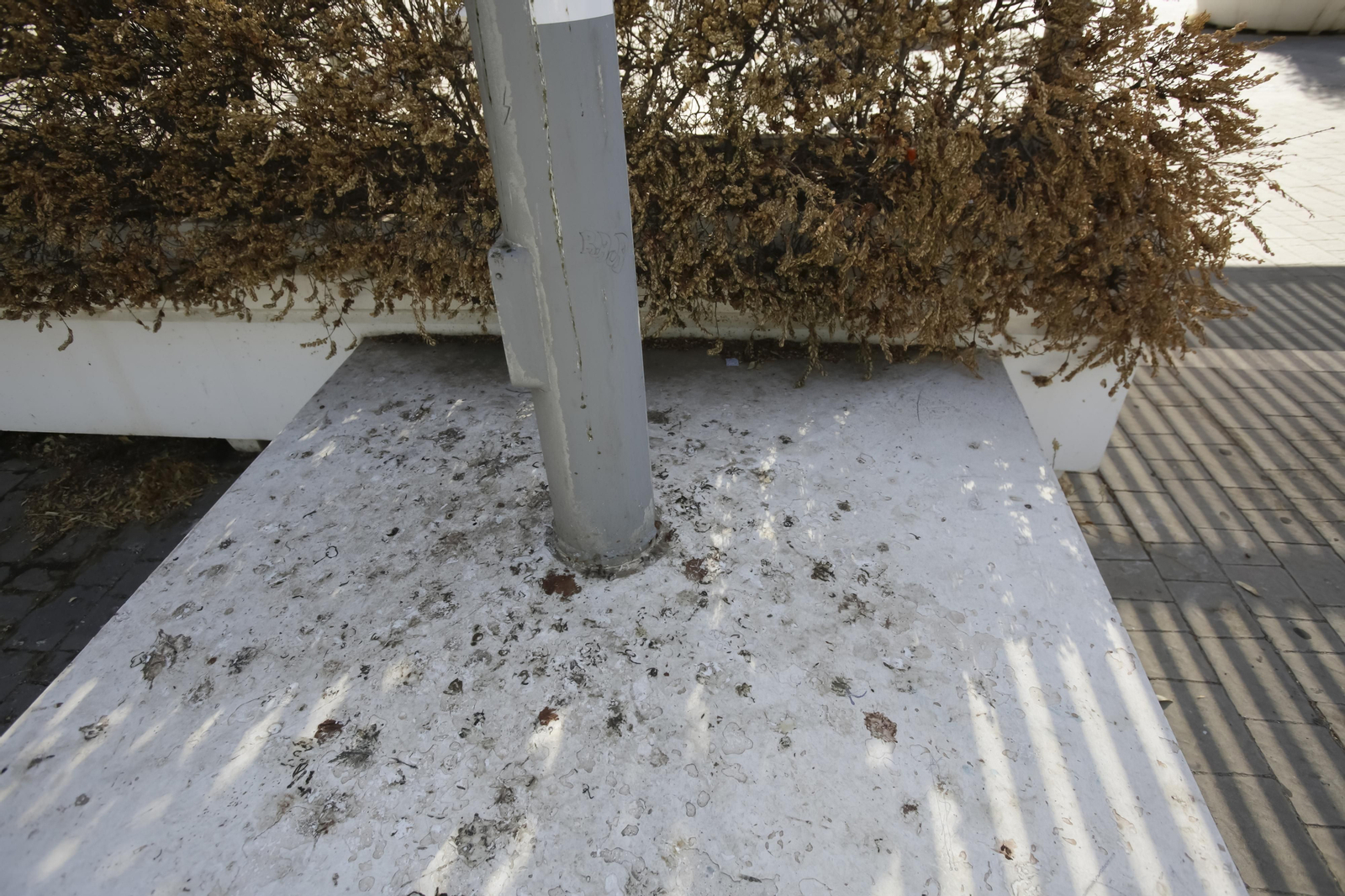 Abandono y mal estado de la plaza entre Mercadona y Plaza de Armas