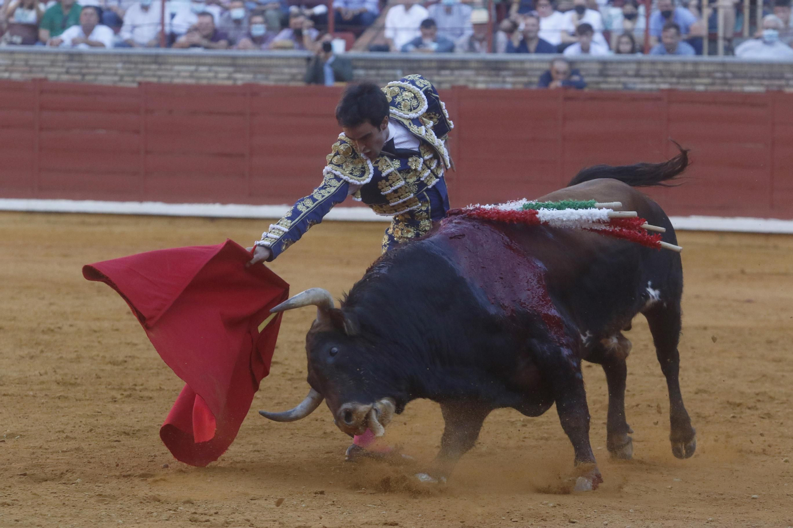 La corrida por el 30 aniversario de la alternativa de Finito de Córdoba, en imágenes