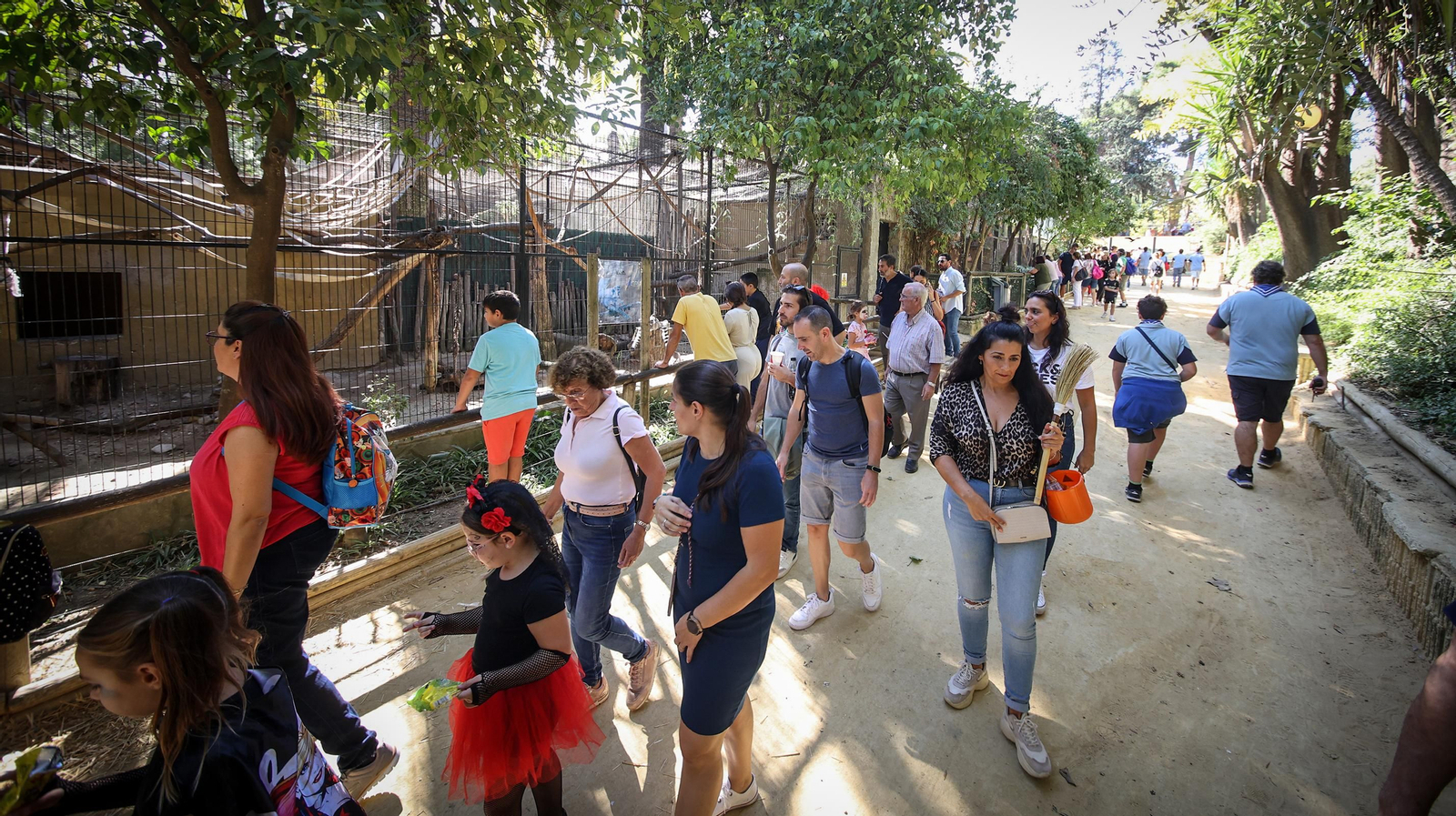 Miles de asistentes a la fiesta de Halloween en el Zoo de Jerez