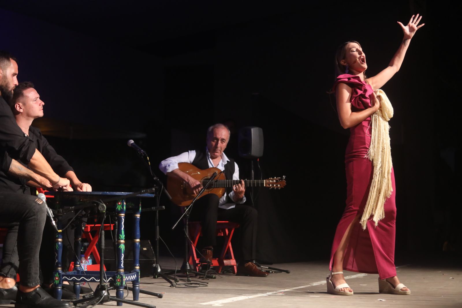 La noche flamenca en el Parque de San Fernando, en imágenes
