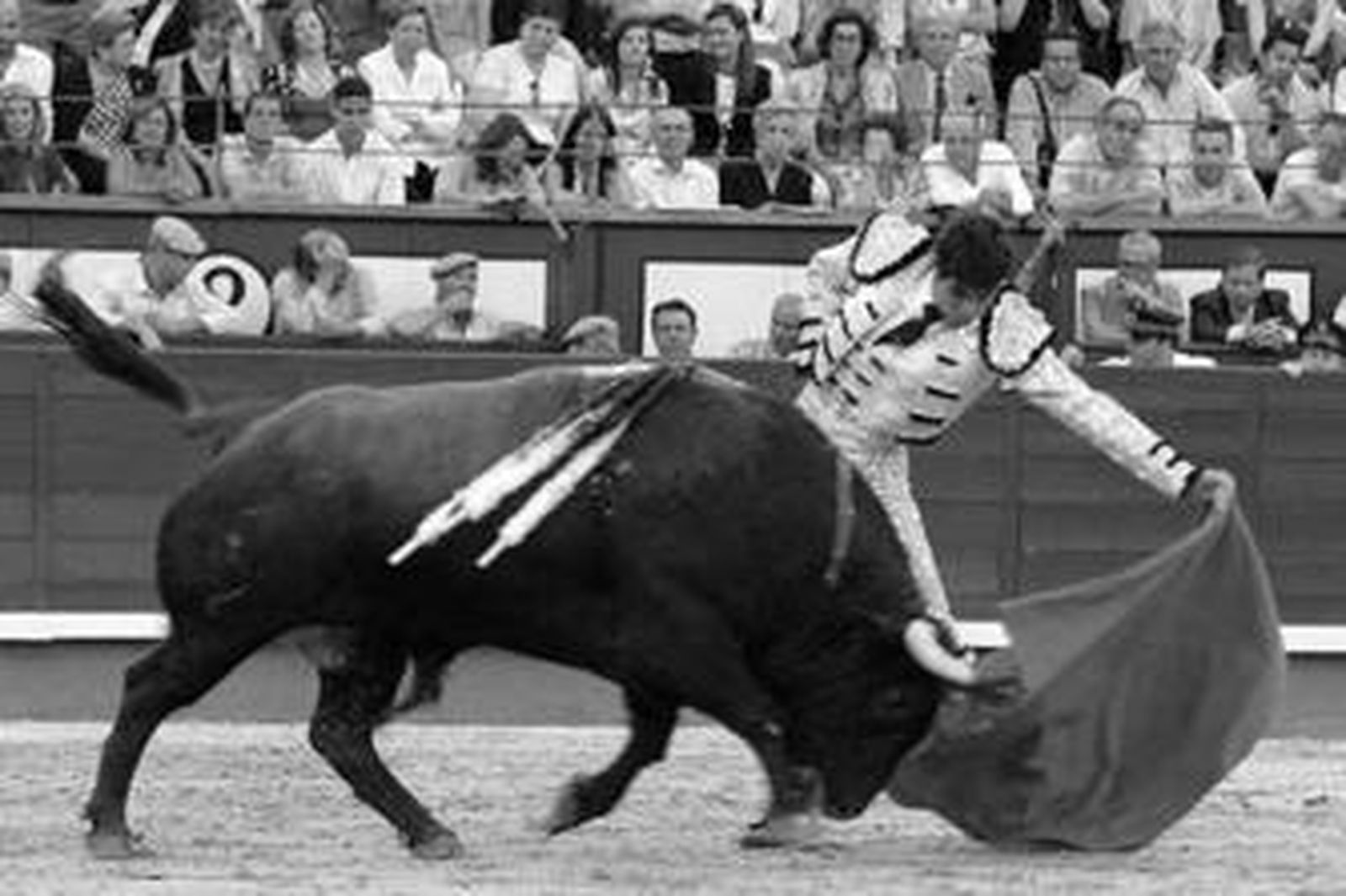 El diestro Salvador Vega toreando al natural en la última corrida que lidió en Las Ventas en la feria de San Isidro del 2006.