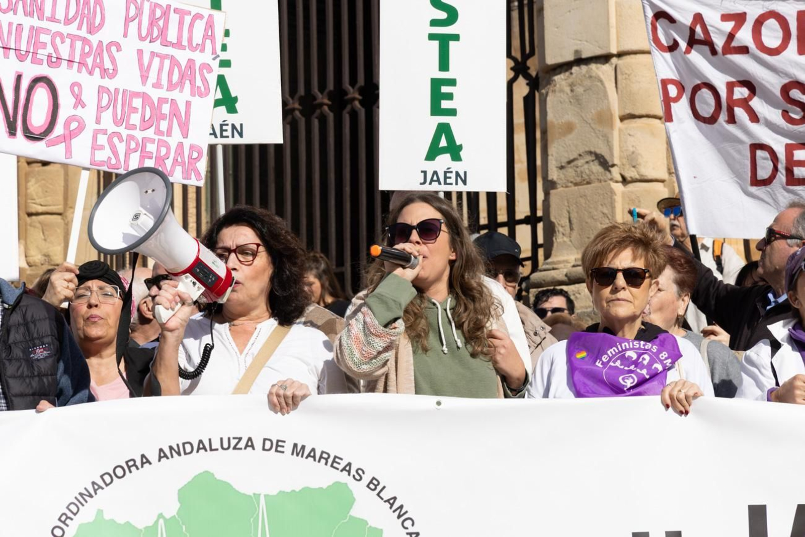 Manifestación "Sanidad cien por cien pública"
