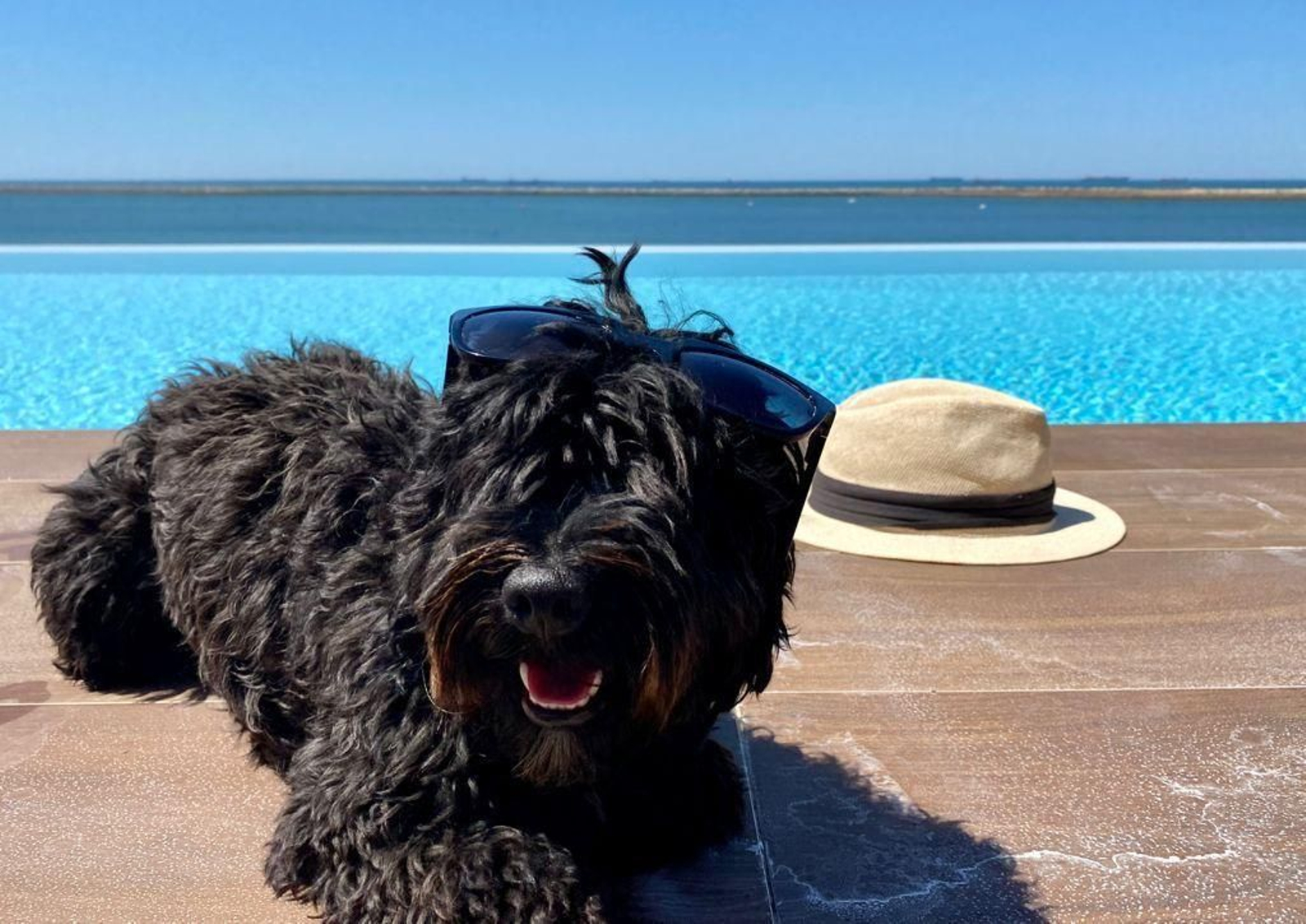 Dónde alojarte en Huelva con tu mascota