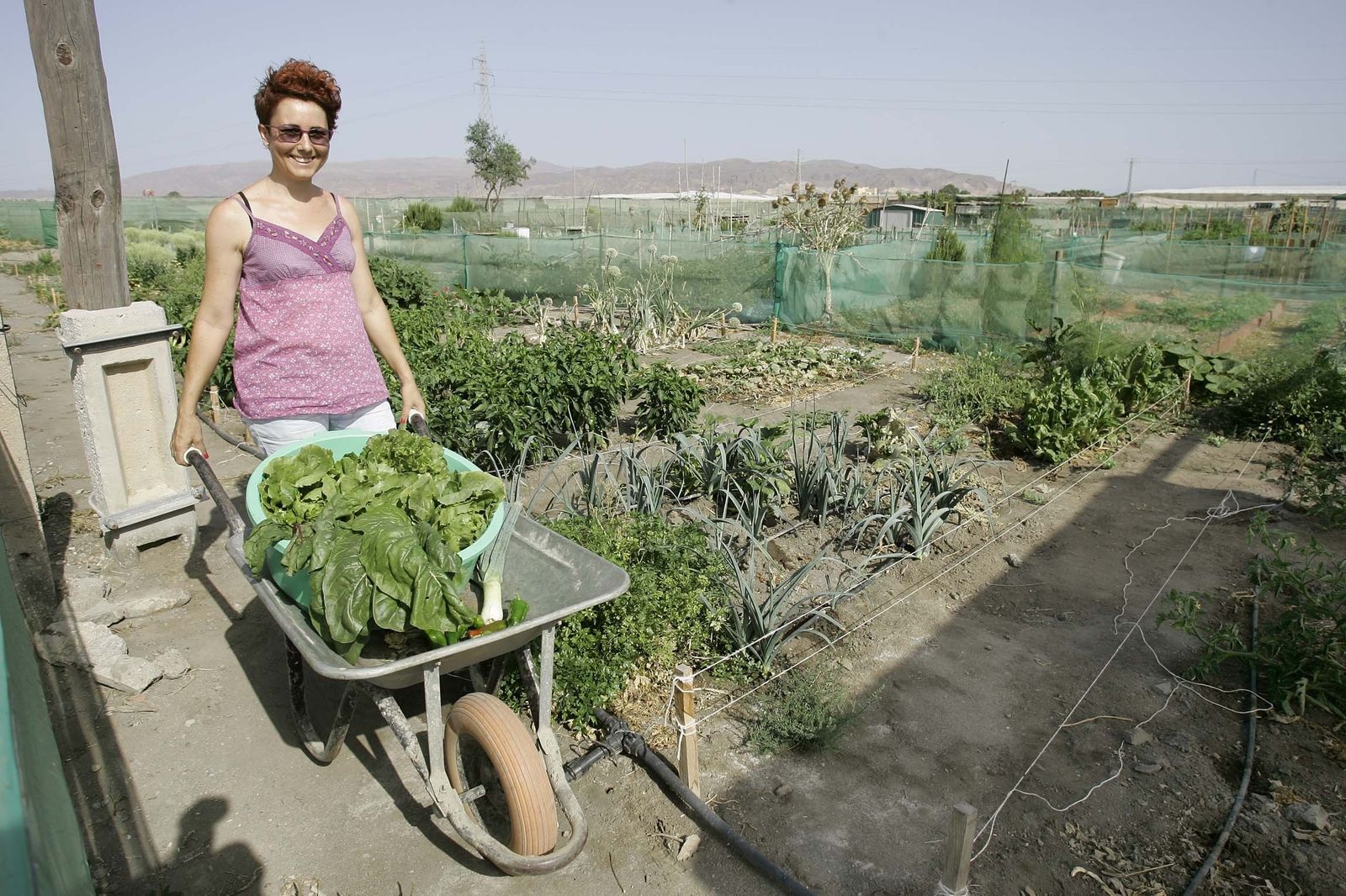 Huerto urbano de La Cañada.