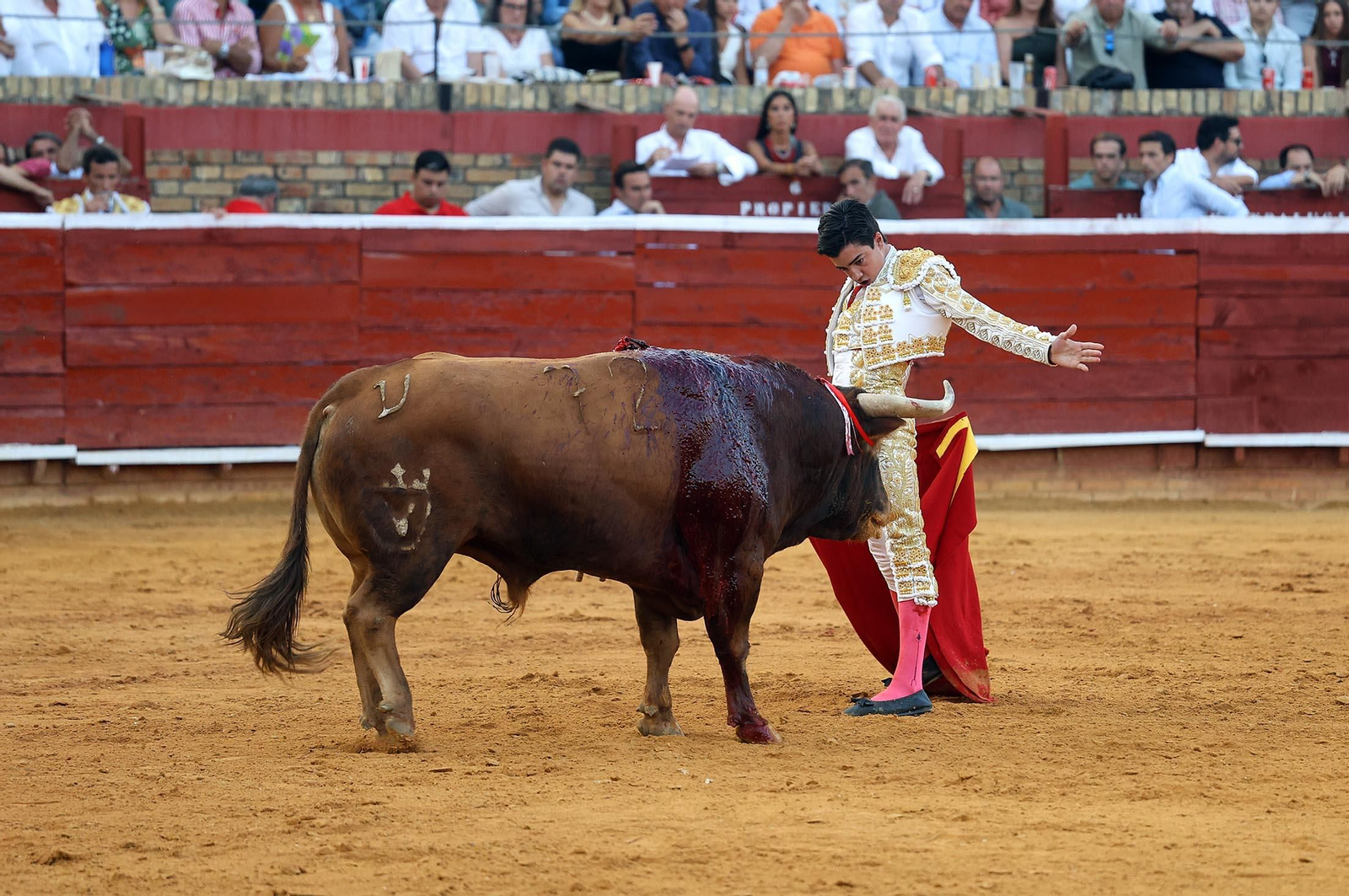 Toros La Merced 2025: Imágenes de la corrida de David de Miranda, Marco Pérez y Borja Jiménez