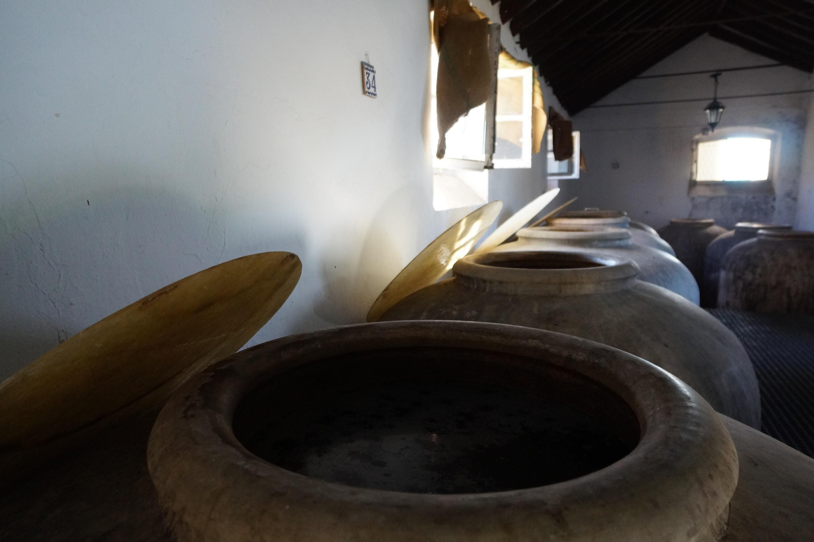 Un recorrido en fotografías por el vino nuevo de Moriles