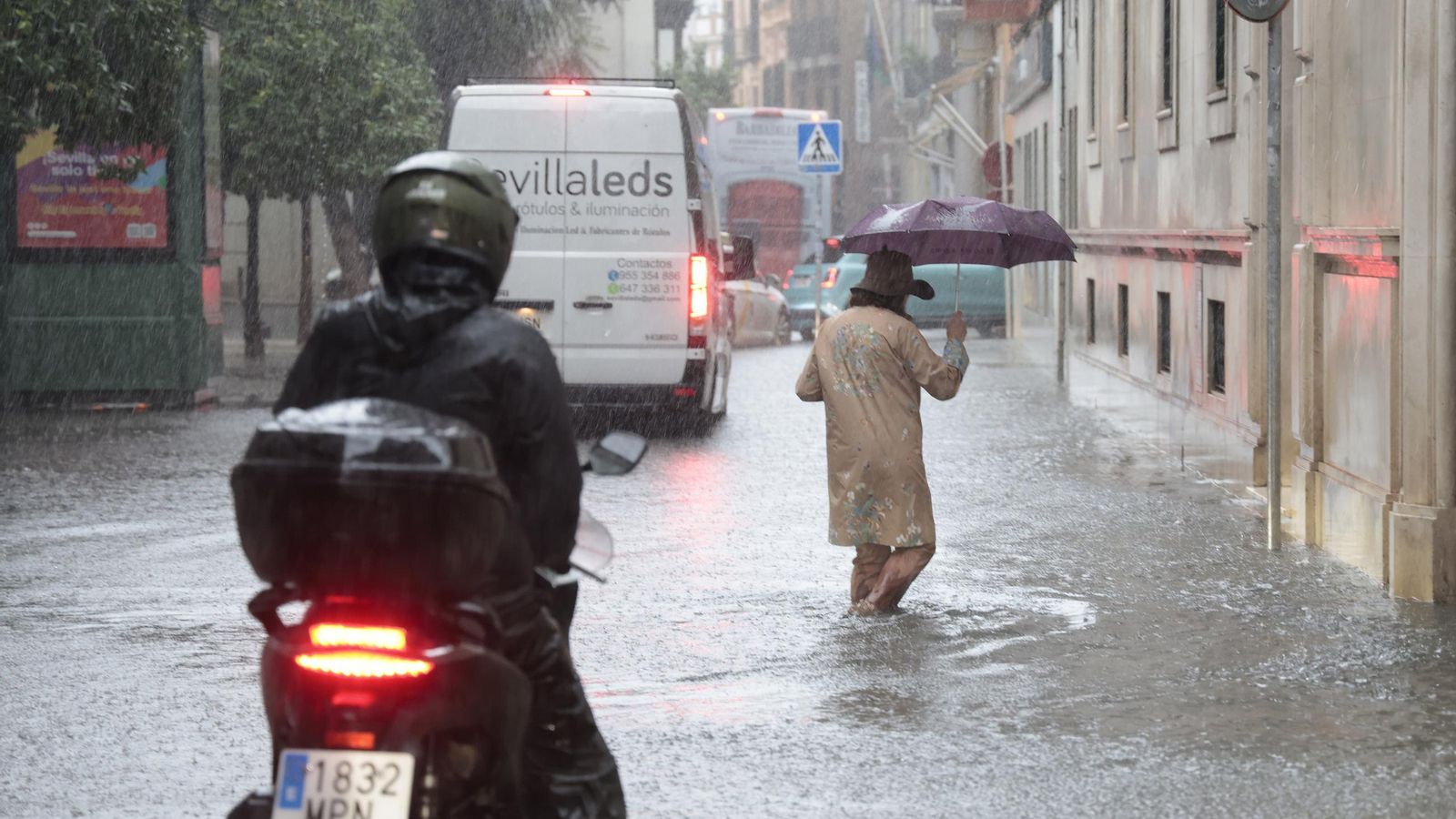 El centro de Sevilla anegado, todas las fotos.
