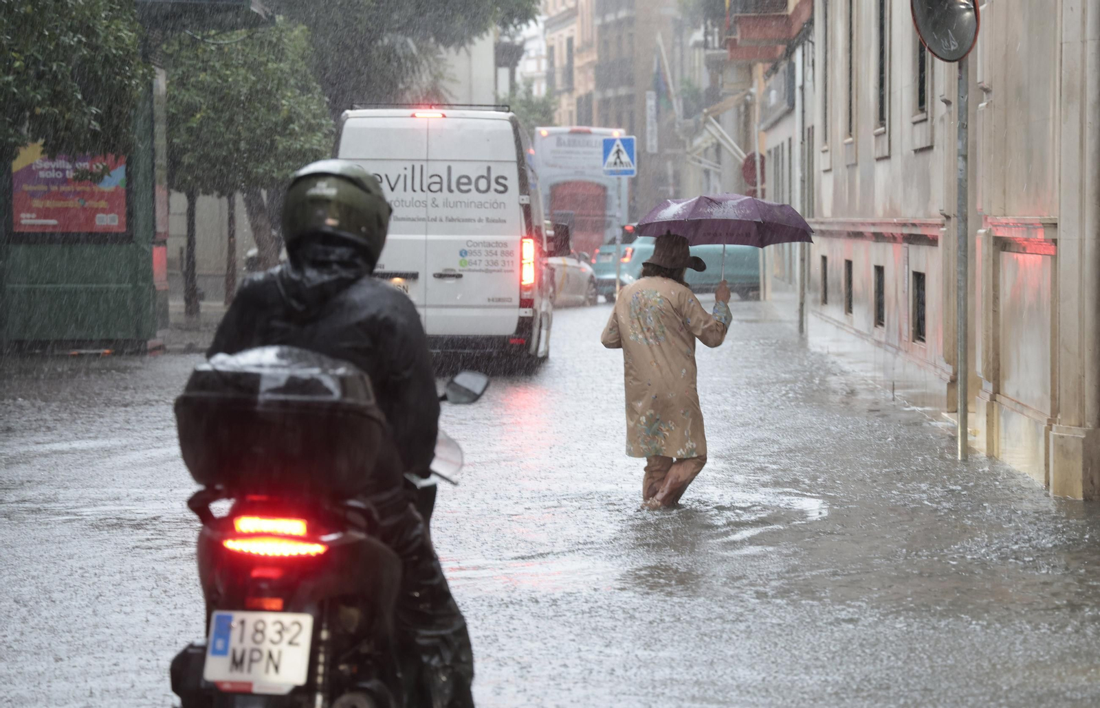 El centro de Sevilla anegado, todas las fotos.