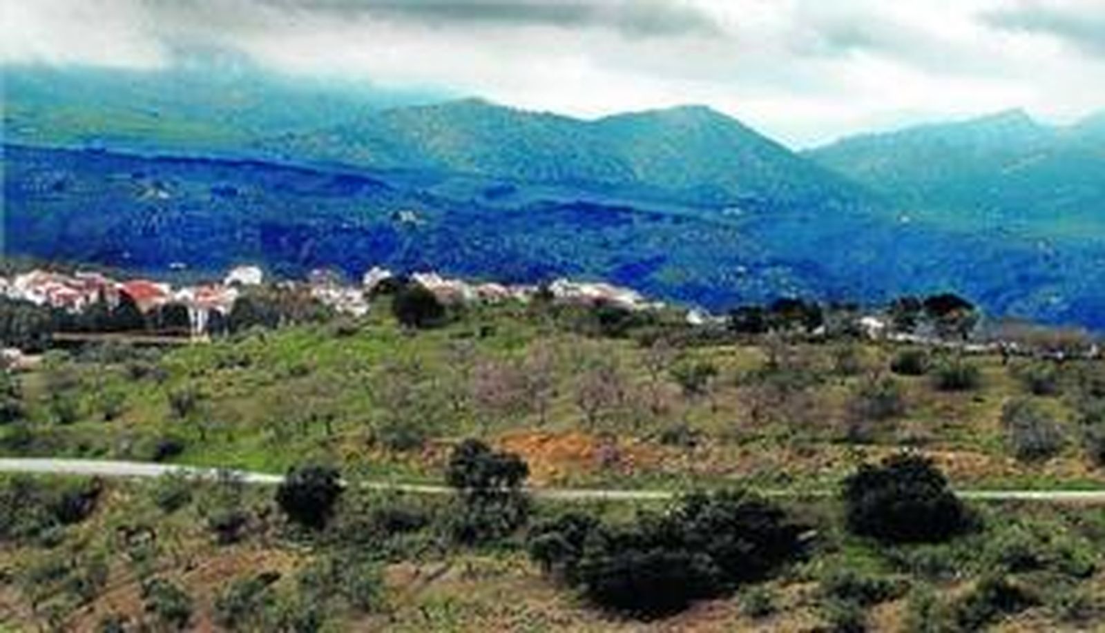 La comarca de la Axarquía es una de las zonas con mayor grado de erosión.