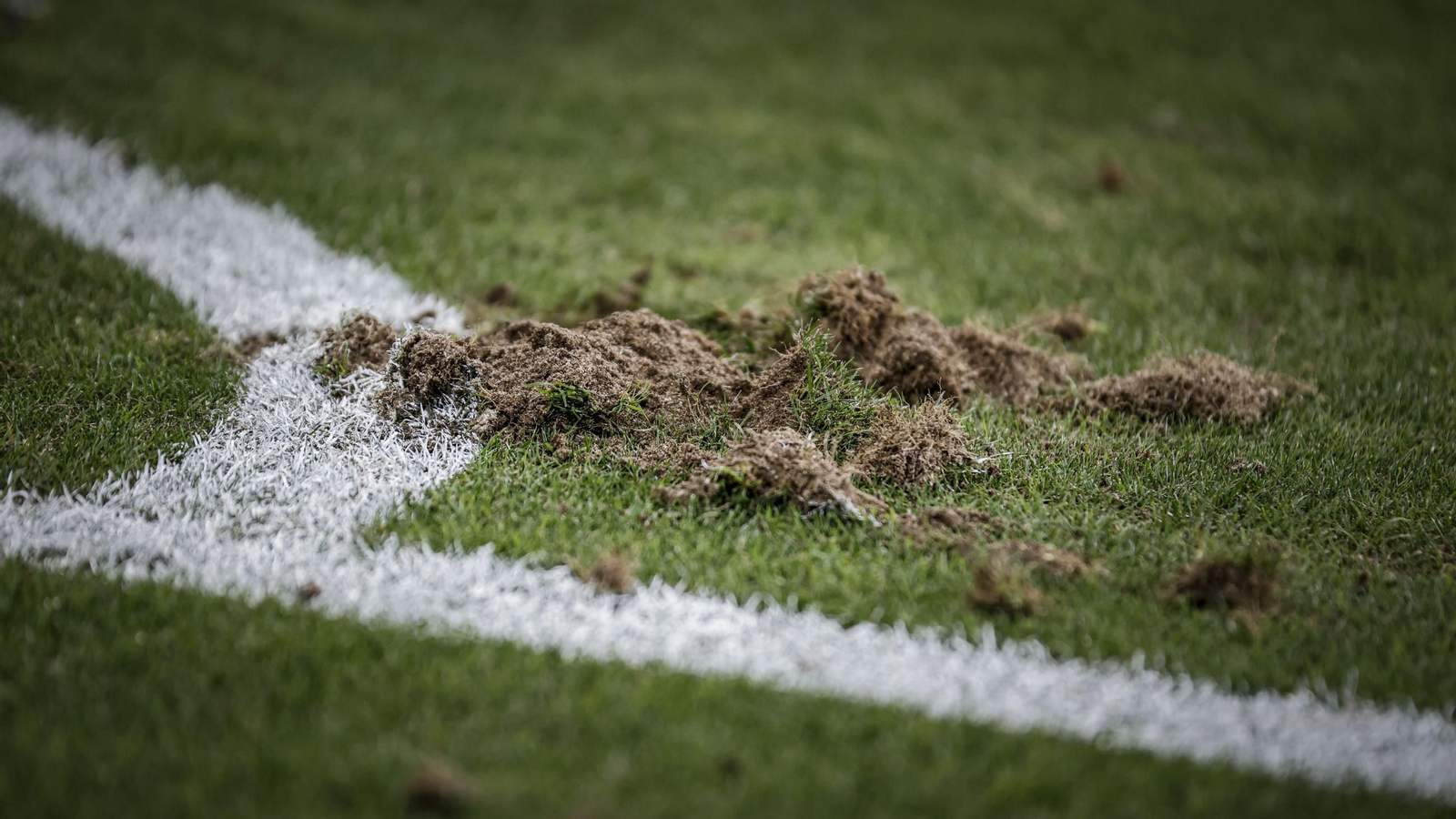 Búscate entre las fotos del partido de fútbol entre Cádiz CF y Real Zaragoza