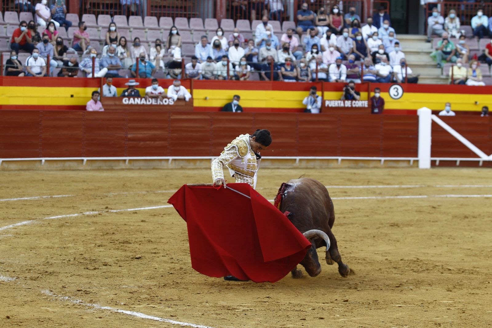 Fotogalería corrida de toros. Cayetano Rivera, Paco Ureña y Roca Rey. Roquetas de Mar.