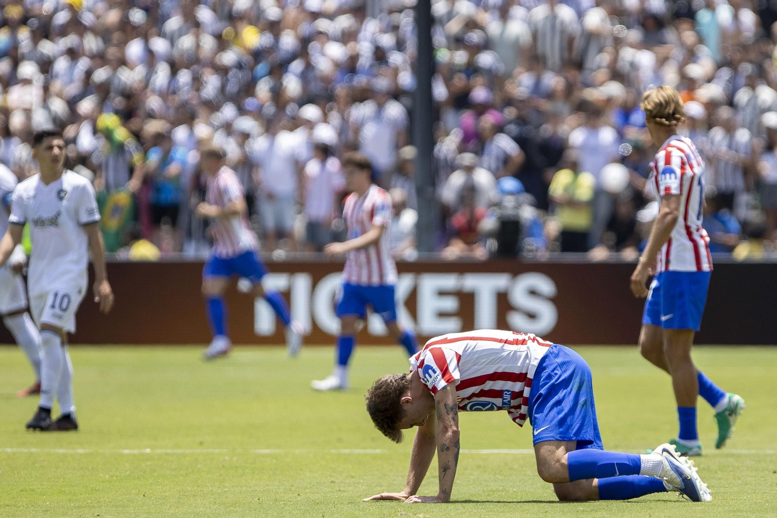 Las fotos del Atlético de Madrid - Botafogo Las fotos del Atlético de Madrid - Botafogo