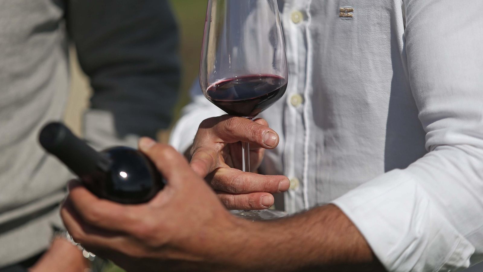 Ribera de Hozgarganta es el primer tinto que se elabora en el Campo de Gibraltar desde el siglo XVIII