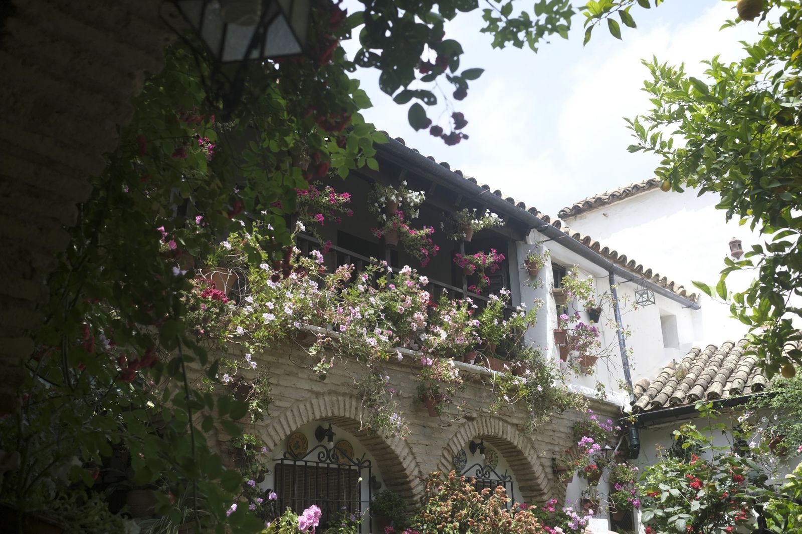 El último día del Festival de los Patios de Córdoba 2022, en imágenes