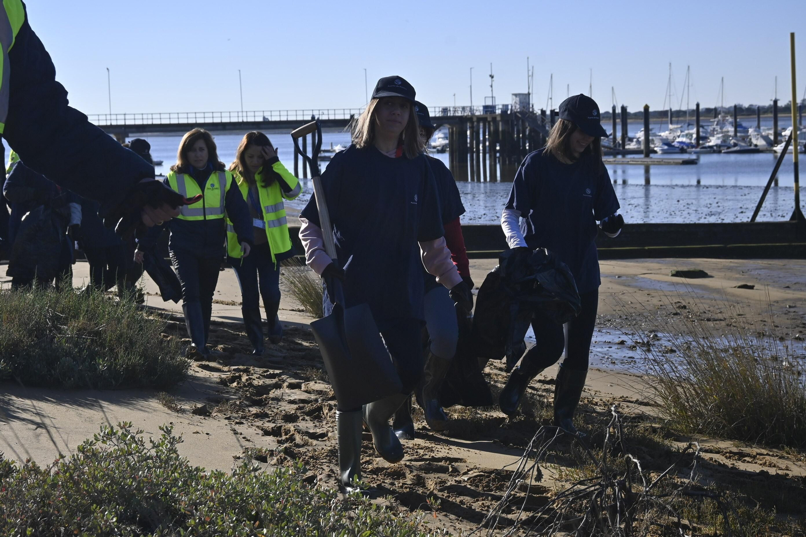 Plantación de la especie autóctona Espartina Marítima en imágenes