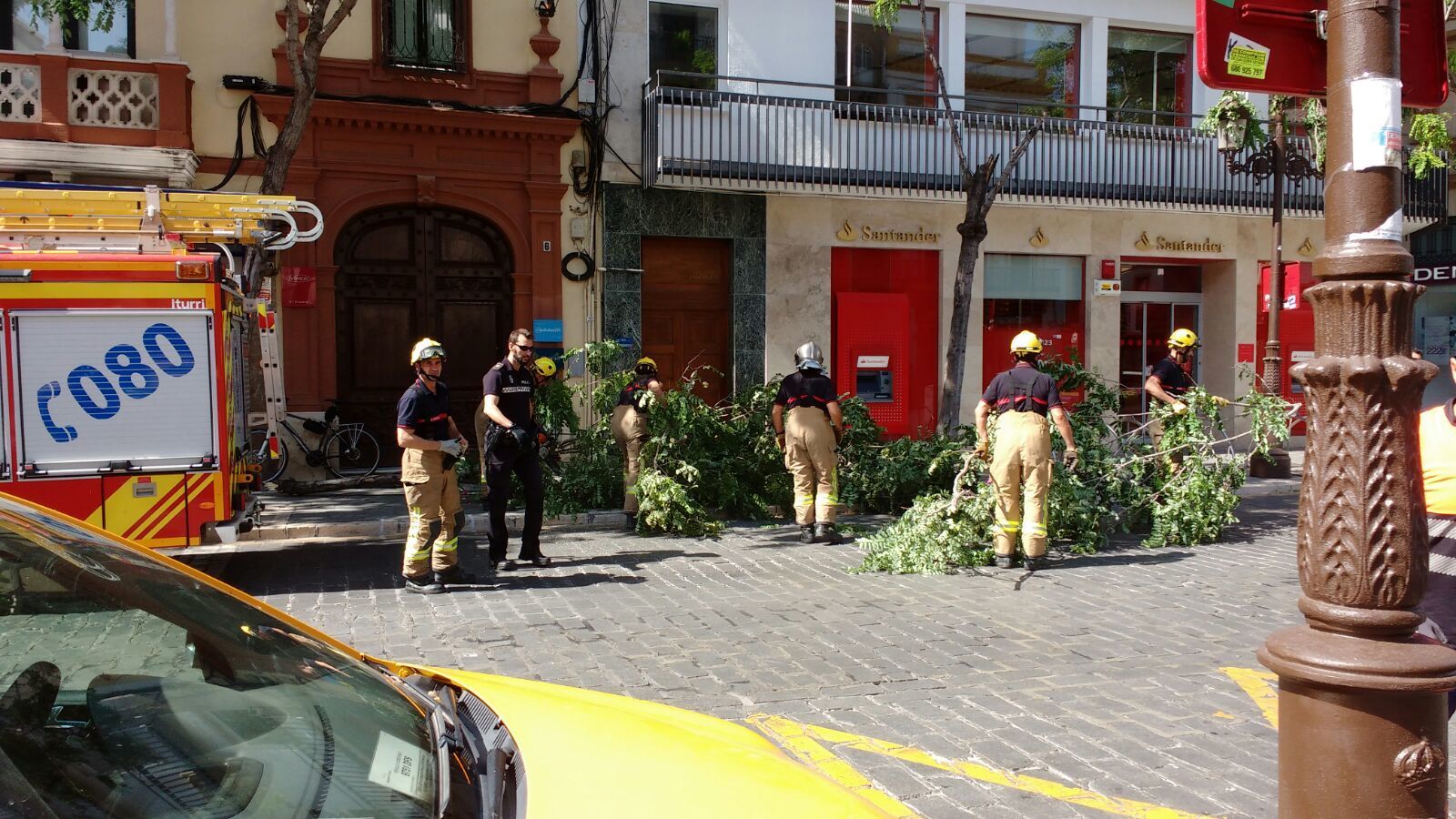 Bomberos proceden a retirar la rama de árbol caída en La Campana.