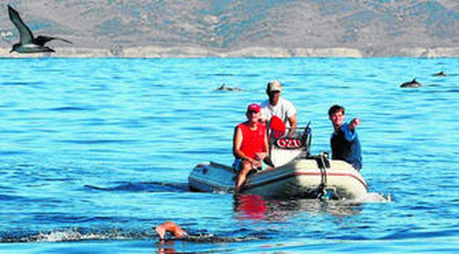 Nadadores y embarcaciones, rodeados de delfines durante el cruce.