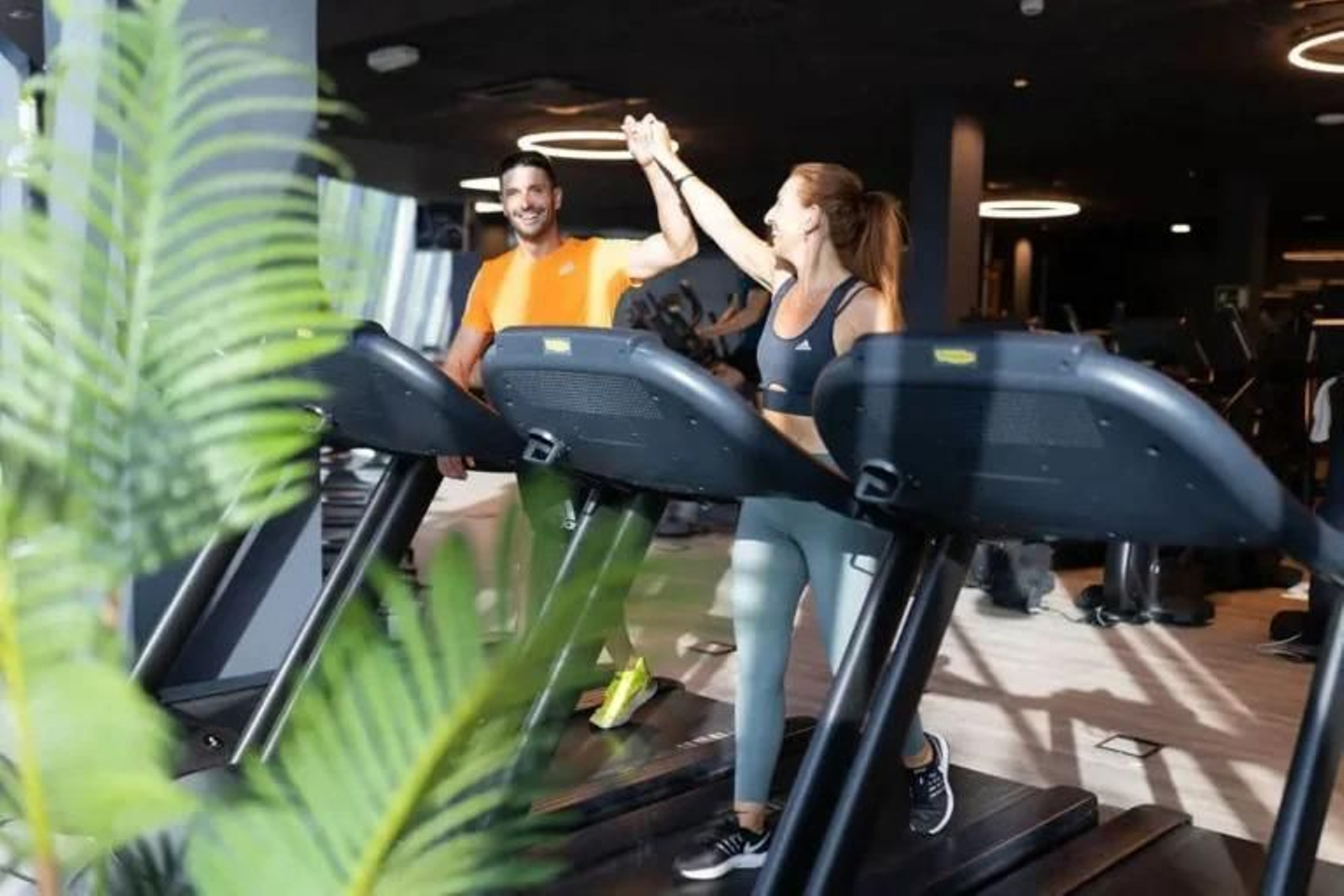 Los espacios fitness del ginmnasio cuentan con zonas adaptadas para diferentes tipos de entrenamiento.