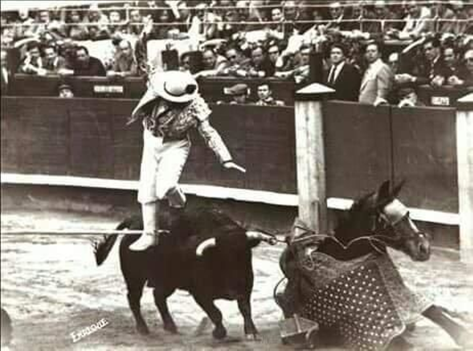 ‘Salitas’ durante una tarde accidentada tarde como picador.