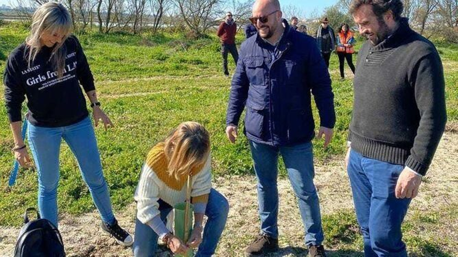 Una imagen de la repoblación llevada a cabo en el Parque Guadalete.