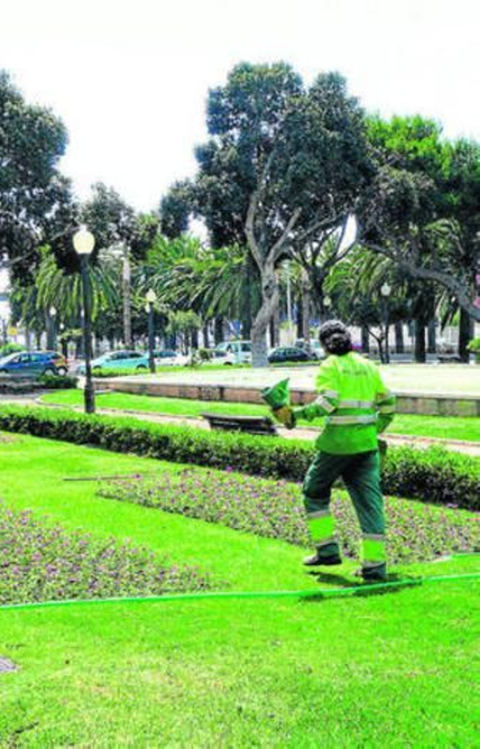 Jardineras en las inmediaciones de la Diputación.