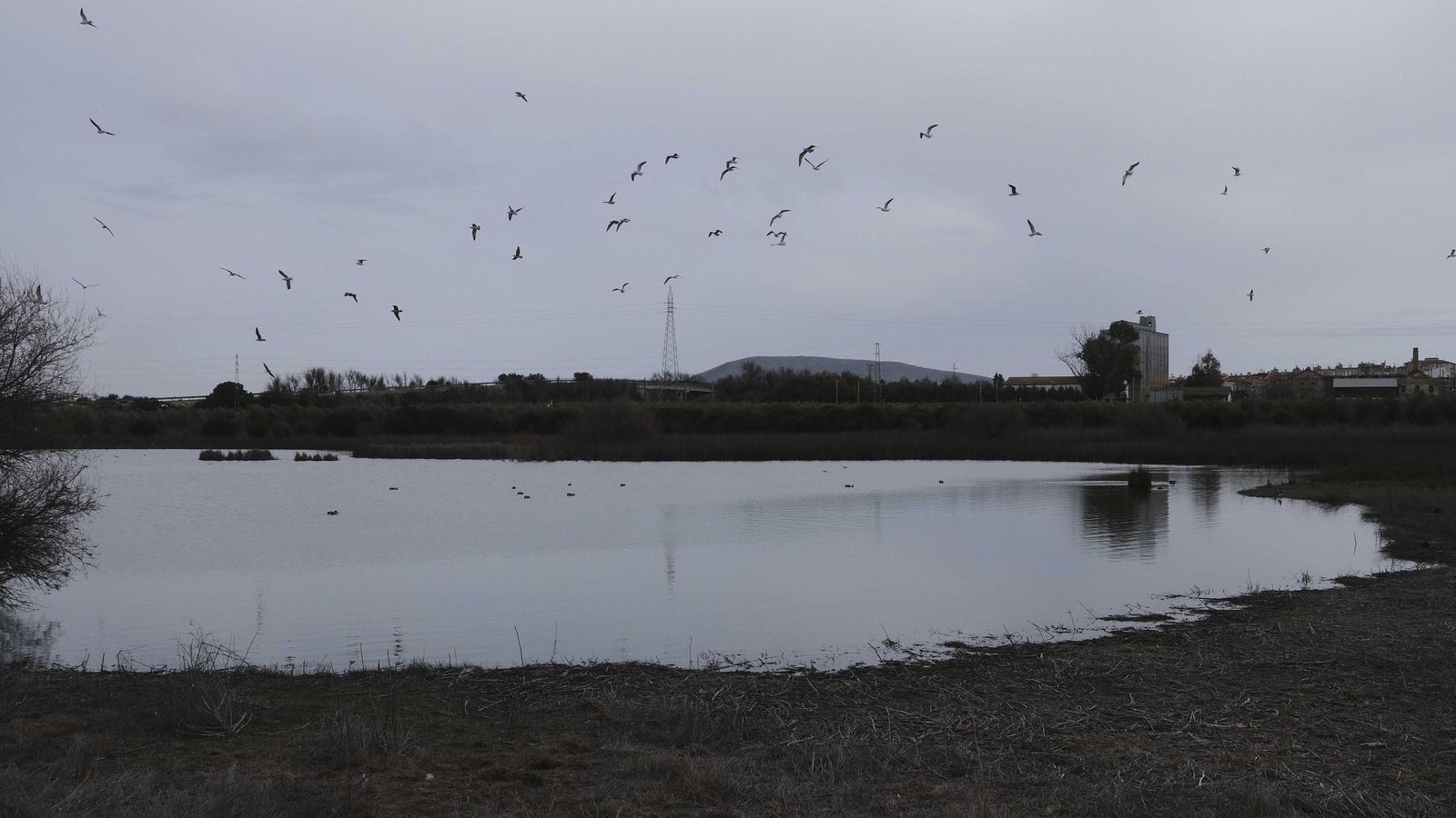 Laguna de Fuente de Piedra. Laguna de Fuente de Piedra.