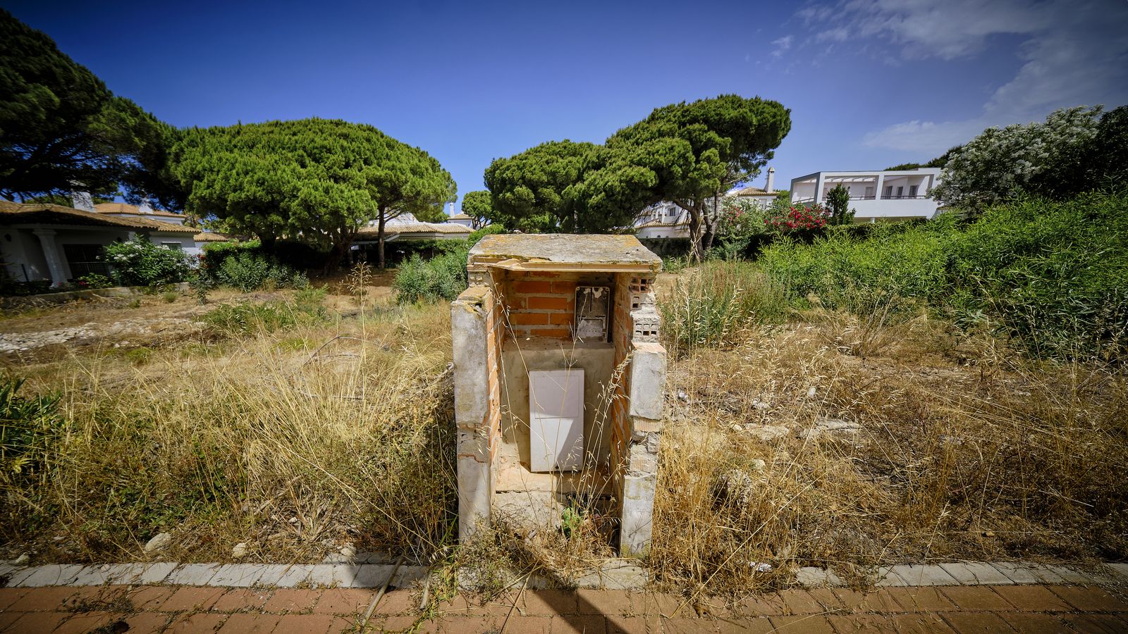 Solar abandonado con matorral seco y evidente peligro de incendio de cara al verano.