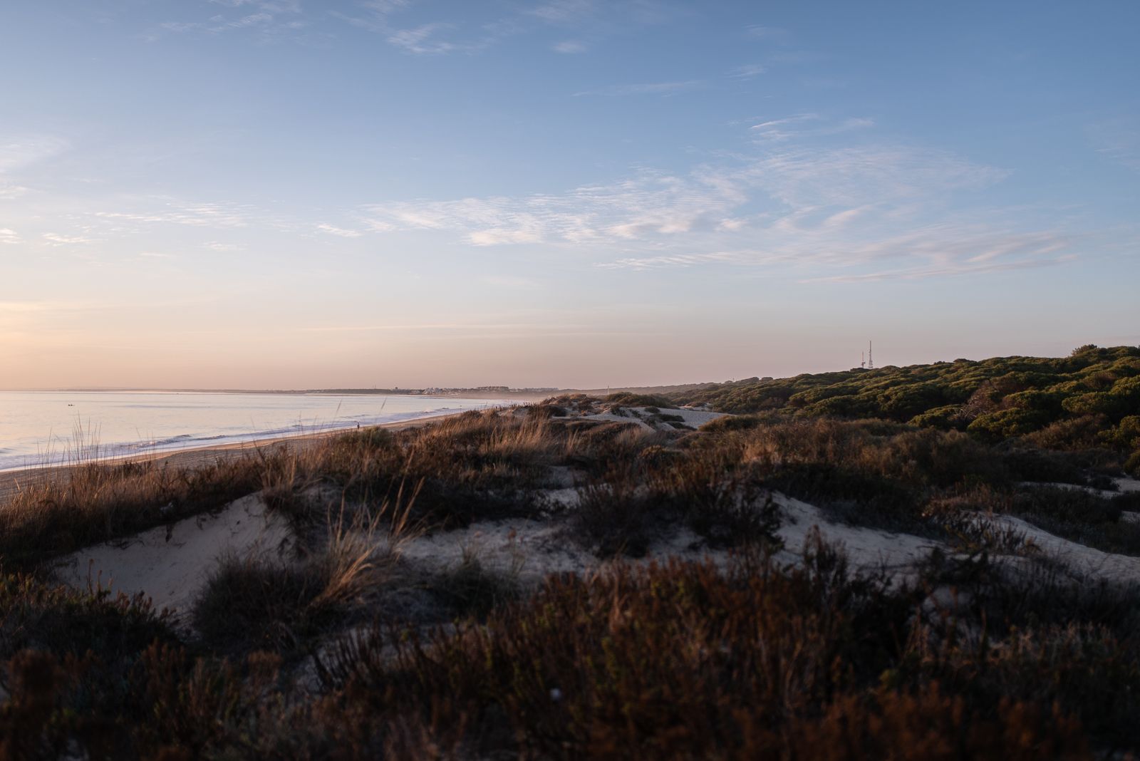 Los Enebrales en Punta Umbría: una playa tranquila en plena naturaleza